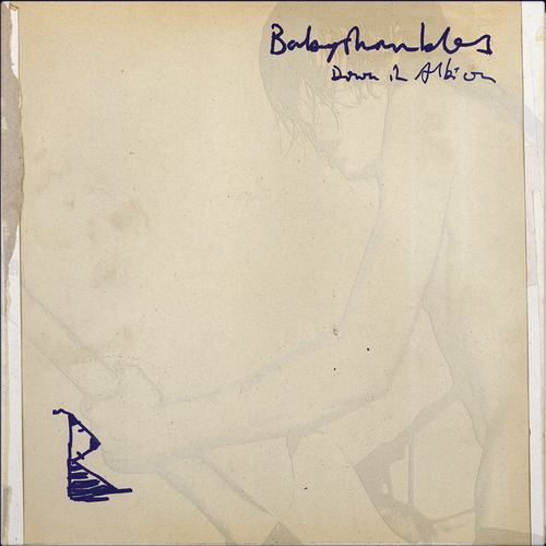 Babyshambles Down In Albion LPレコード Babyshambles - Down In Albion (20th Anniversary Edition). Rough Trade.
