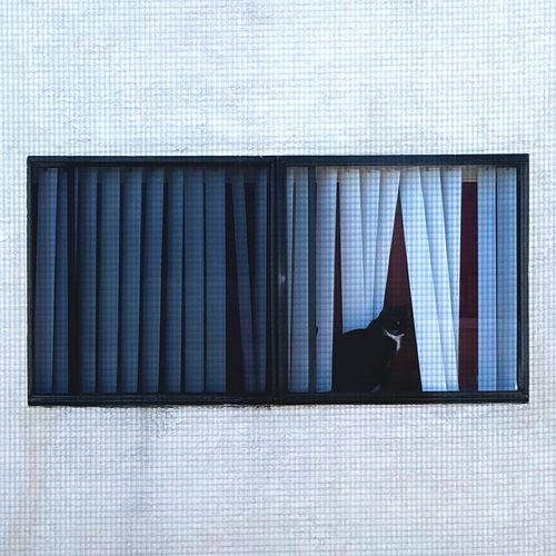 Aphex Twin - Windowlicker. Bleep.