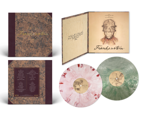 VulfpeckThrilloftheArts LP 2018 picture盤 VulfpeckThrilloftheArts LP 2018 picture盤 VulfpeckThrilloftheArts