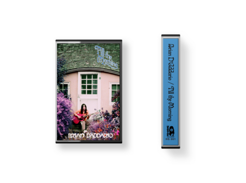 Brian D'Addario - Till the Morning. Vinyl. The Lemon Twigs.