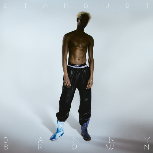 DANNY BROWN / XXX - アナログ2LP - Danny Brown - XXX (Vinyl LP)