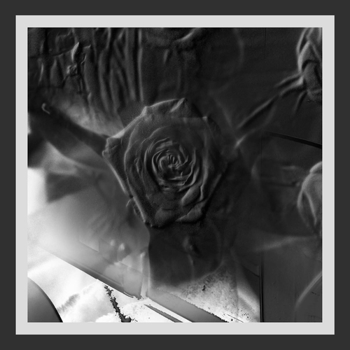 Ital Tek - Hollowed. Planet Mu.