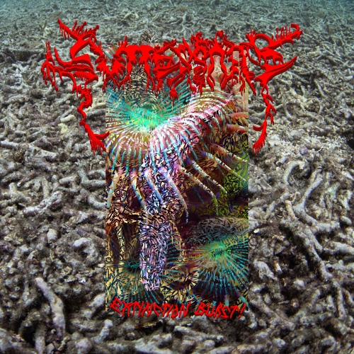 X-TG - Desertshore / The Final Report. Bleep.
