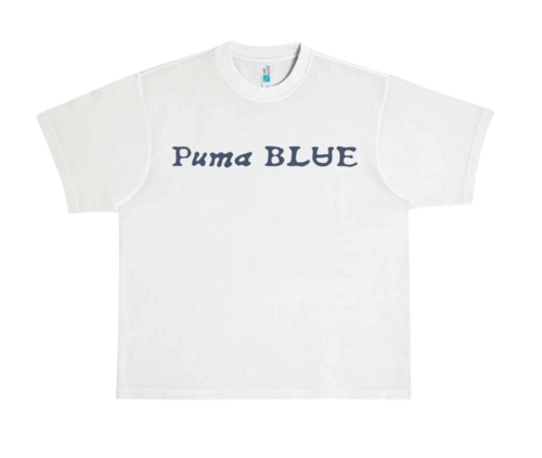 Puma Blue - Swum Baby EP. Puma Blue.