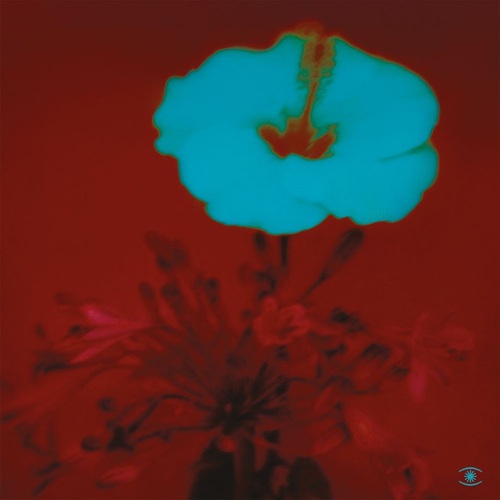 Ryuichi Sakamoto | Illuha | Taylor Deupree - Perpetual. Bleep.
