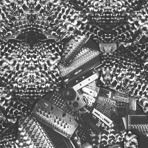 洋楽 ADRIAN SHERWOODsurvival & resistance 2LP Amazon.com: Survival & Resistance (2xLP): CDs & Vinyl