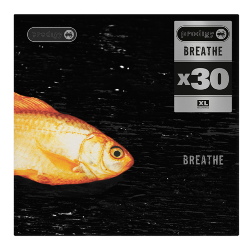 XL Recordings - XL Recordings