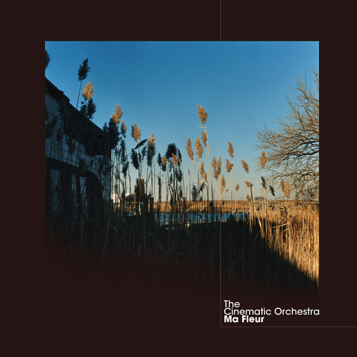 ★The Cinematic Orchestra Ma Fleur 2LPBOX The Cinematic Orchestra - Ma Fleur. Bleep.