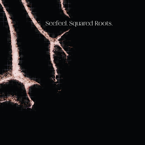Seefeel - Rupt and Flex (1994 - 96). Seefeel.