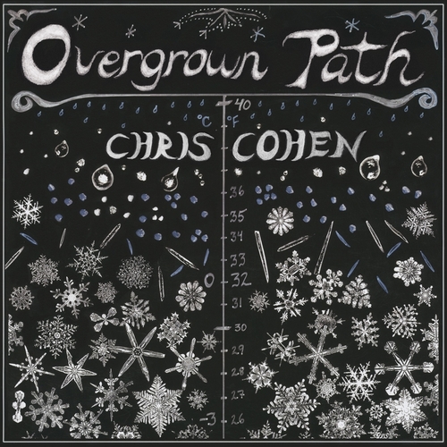 Chris Cohen - Chris Cohen. Captured Tracks.