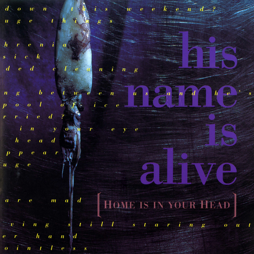 【UK Orig. LP】☆激レア入手困難☆ HIS NAME IS ALIVE 4AD - His Name Is Alive