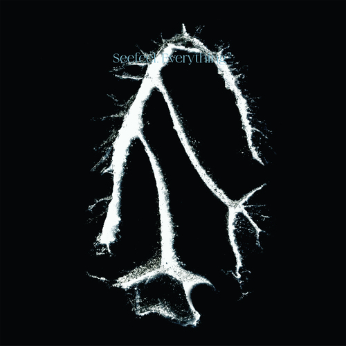 Rupt and Flex (1994 - 96) by Seefeel - Releases - WARP