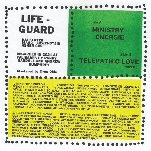 Lifeguard - Ripped and Torn. Matador.