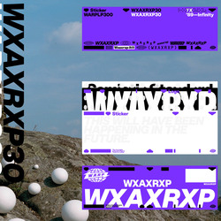 洋楽 Warp 10 box VARIOUS ARTISTS - Warp 10 + 3 Remixes (Full Album) - 1999