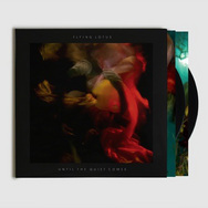 Until The Quiet Comes