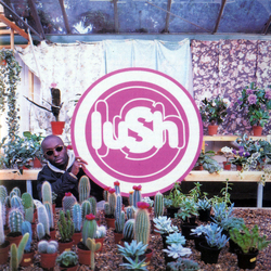 Lush - Gala (2025 Remaster). Vinyl, 1×LP - Black Vinyl. 4AD.