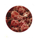 Rebirth EP