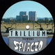 Trillium Towers Vol.1