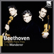 Trio for Piano, Violin and Violoncello No.2 in G Major, Op.1 No.2: I. Adagio - Allegro vivace