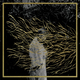 Engravings