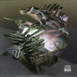 Rifts