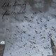 Forces / My Window