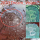 2020 Dream_Vision?