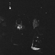 CURBB (feat. Niontay)