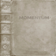 Momentum