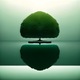 Still Horizons