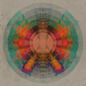 Hard Believer (Single)