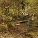 For Dancing In Quiet Light (coda)