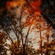 New Spring