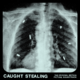 Caught Stealing (The Original Motion Picture Soundtrack)