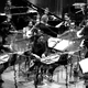 Dark Lights (feat. FAMES European Youth Orchestra, Etienne Abelin & Viviana-Zarah Baudis)
