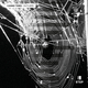 Outliers EP