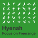 Hyenah: Focus On Freerange