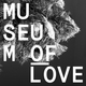 Museum Of Love