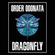 Order Odonata - Beyond the Looking Glass