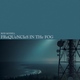 Frequencies In The Fog