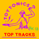 Toy Tonics Top Tracks Vol. 13