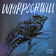 Whip-Poor-Will
