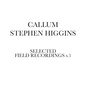 Selected Field Recordings v.1