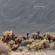 Signal to Noise – Volume II