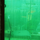 DEAD AIR LULLABY