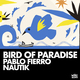 Bird Of Paradise