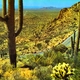Desert