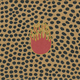Deliquescence