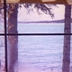 The Magic Window
