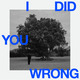 I Did You Wrong (Laurence Guy Remix)